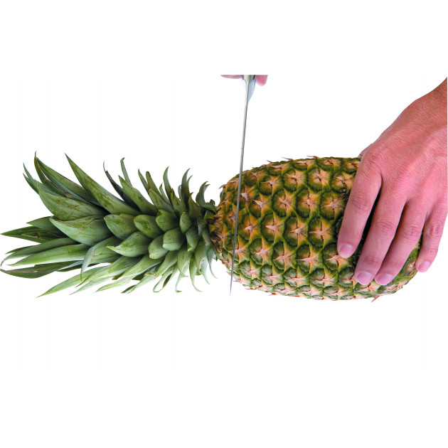 Coupe Ananas Eplucheur Rondelles