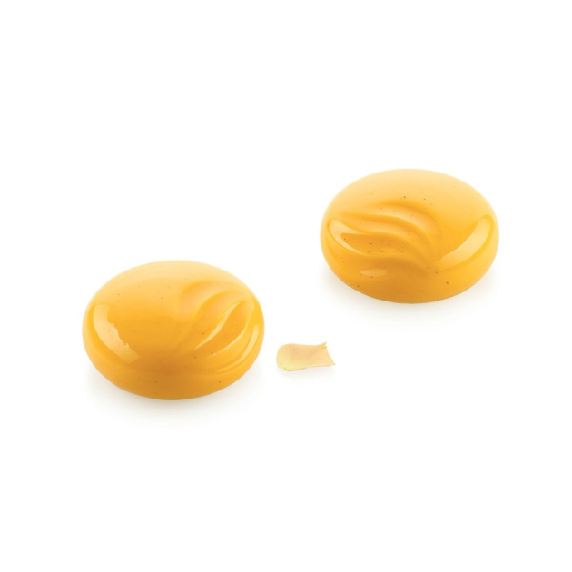 Moule Silicone Océan Ø 7 x H 3 cm (x6) Silikomart