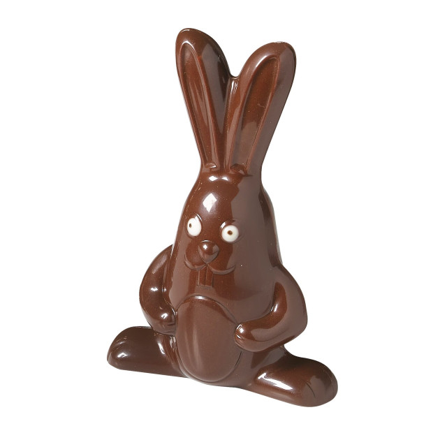 Moule à Chocolat Lapin 19 cm Barry