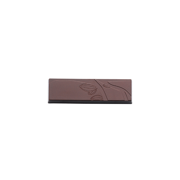 Moule à Chocolat Tablette Goûter 10 x 3 cm (x8) Barry