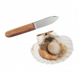 https://www.cuisineaddict.com/9215-large_default/couteau-coquille-saint-jacques-la-bonne-graine-tellier.jpg