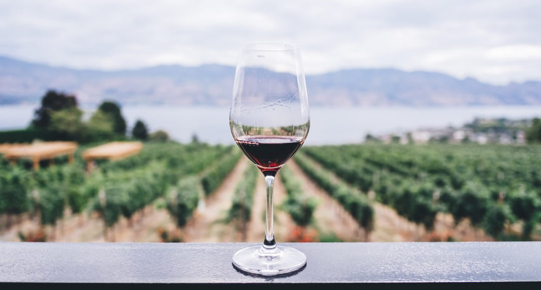 Tout savoir sur le vin : service et dégustation